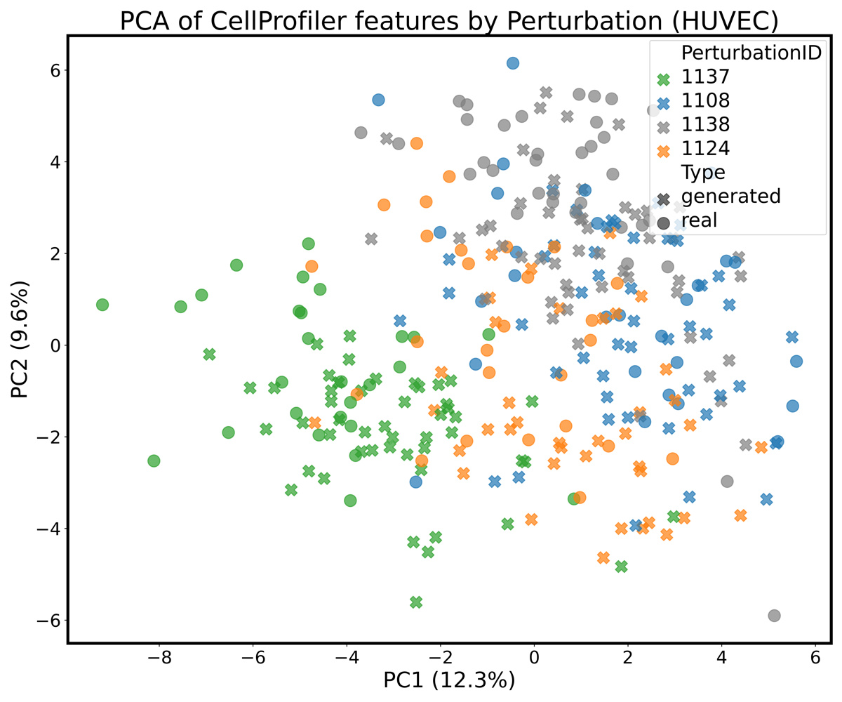PCA scatter plot of CellProfiler features for HUVEC cells under perturbations 1137, 1108, 1138 and 1124. Real samples (circles) and generated samples (crosses) of the same perturbation overlap, and perturbation 1137 separates from the control 1138.